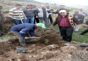 BEAH,  Hatıra Ormanı oluşturdu